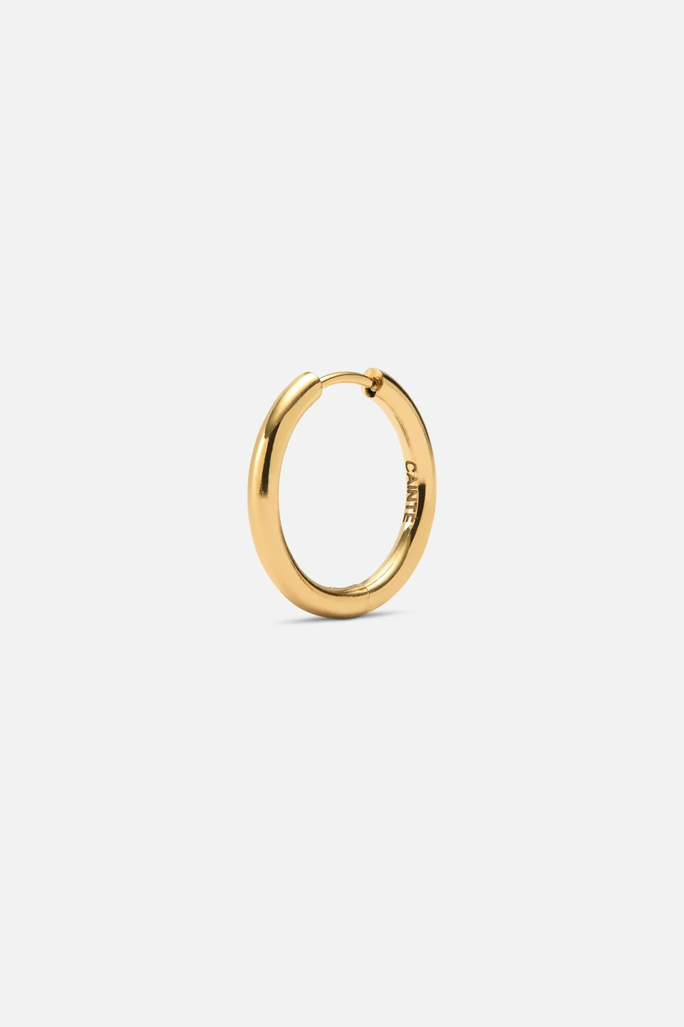 LOOP EARRINGS - Image 19